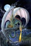2630 Dragon Spit Causeway  